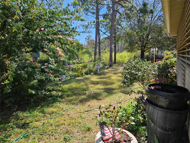 Back yard with pond