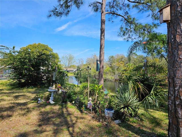 Back yard with pond