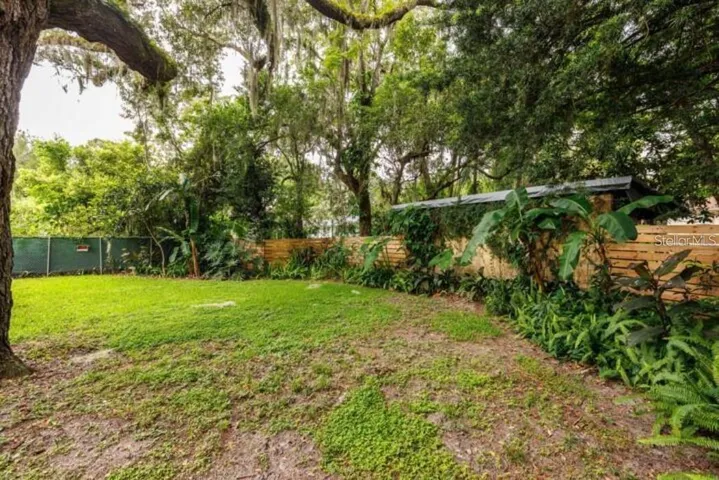 Backyard
