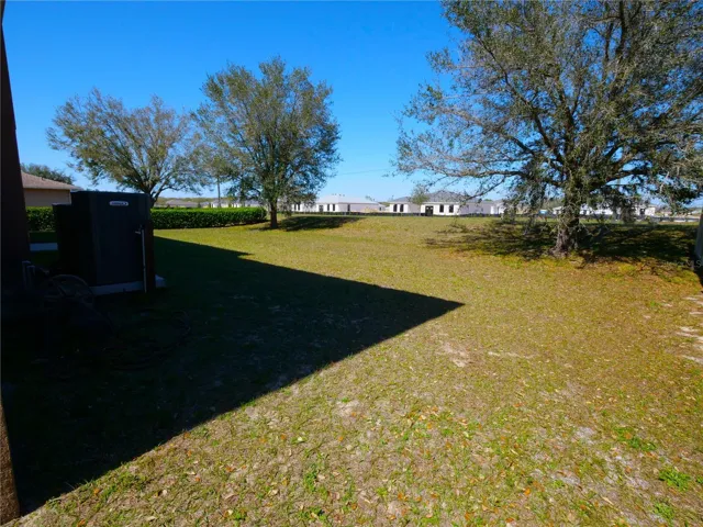 Back Yard