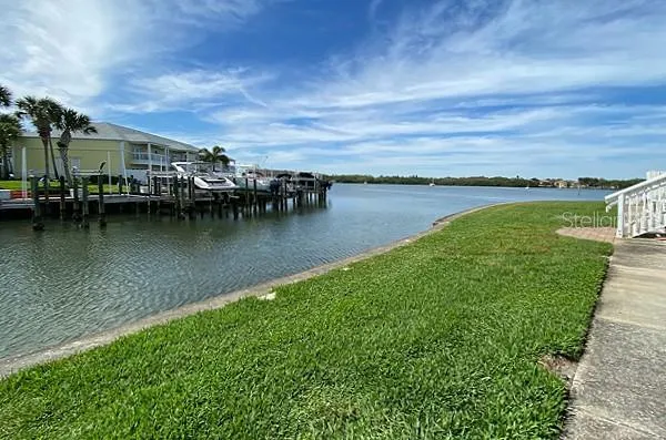 YOUR View from the Patio