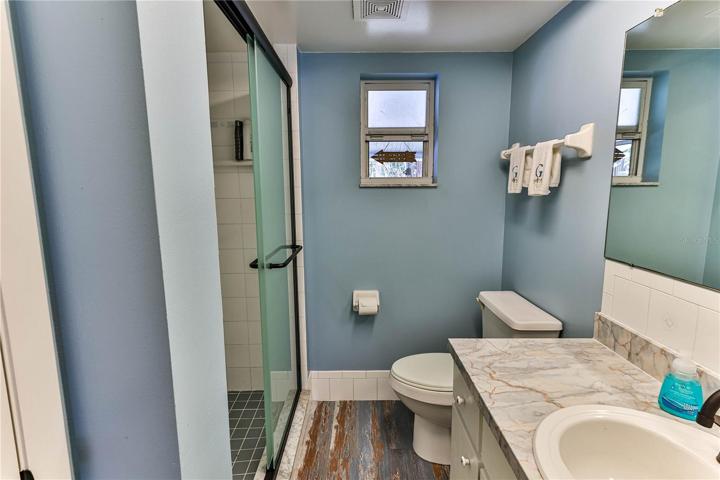 Updated Main Bathroom Shower only