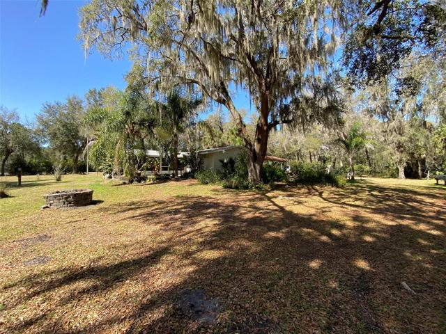 Back yard and east side of home