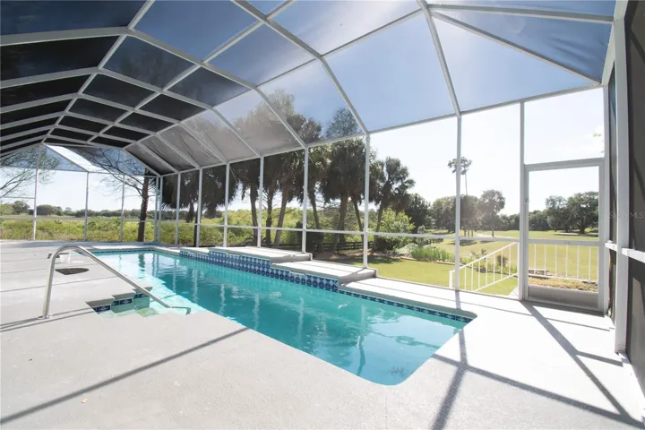 Lap and Pool View