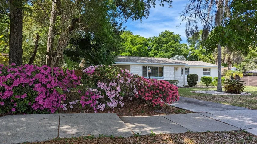 Front Azaleas.