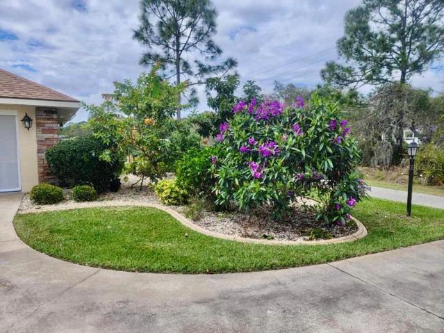 Lush Landscaping