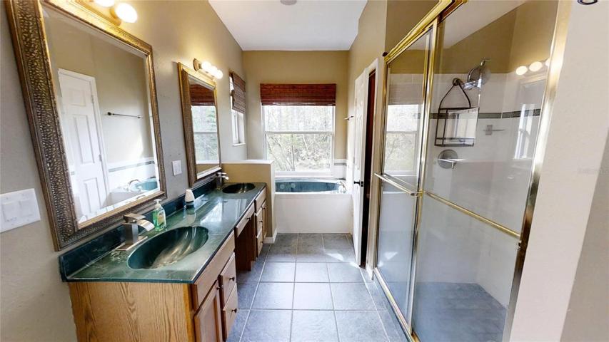Master Bathroom view 1