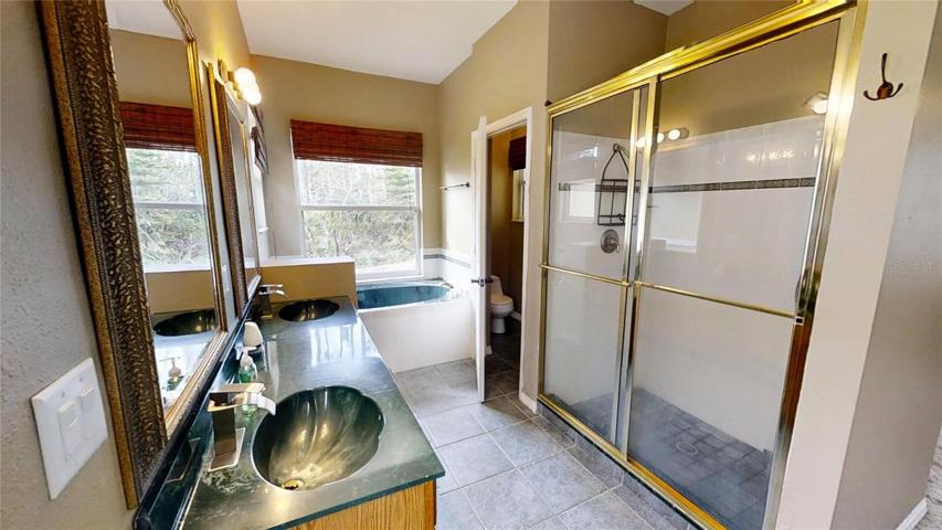 Master Bathroom view 3