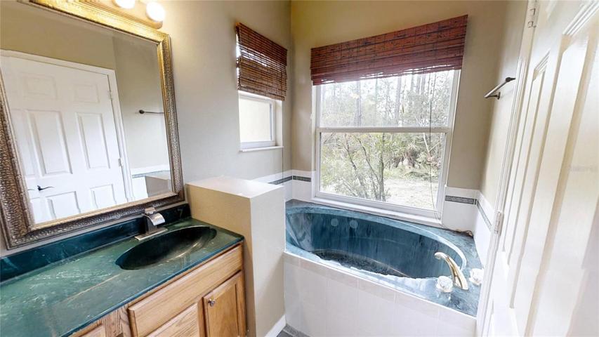 Master Bathroom view 2