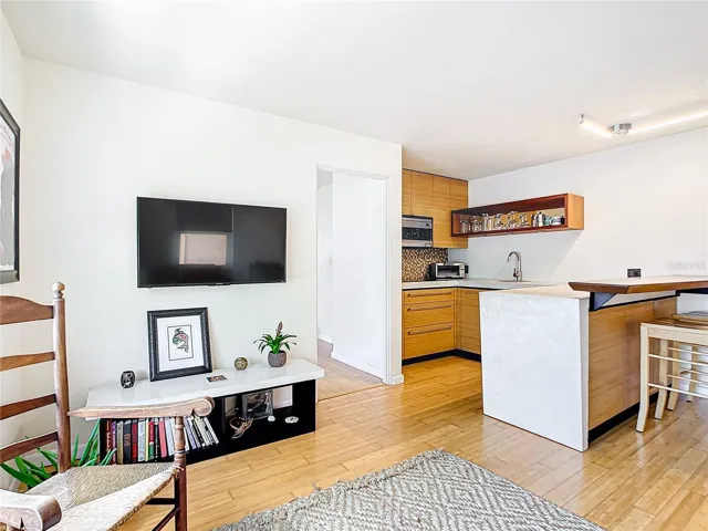 View towards the kitchenette with custom made bamboo cabinets. Notice the floating breakfast bar?