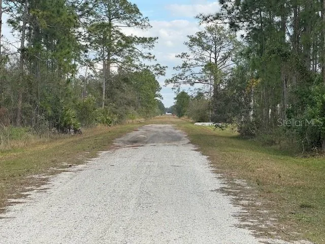 This is looking from two blocks west down Hibiscus to the east; the road is not paved in front of this lot, but it is a hard surface of grass.