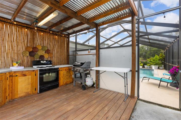 Outdoor kitchen with cooking stove and two grills (charcoal & propane gas)