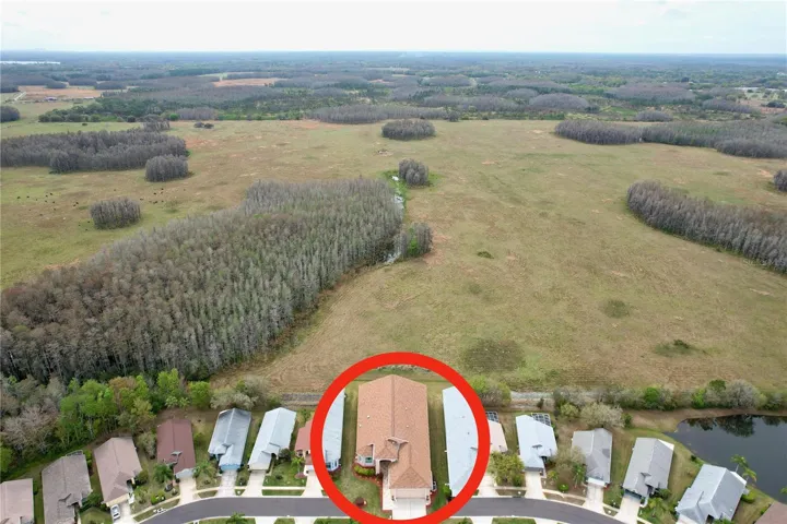 Home overlooks Brooker Creek Preserve