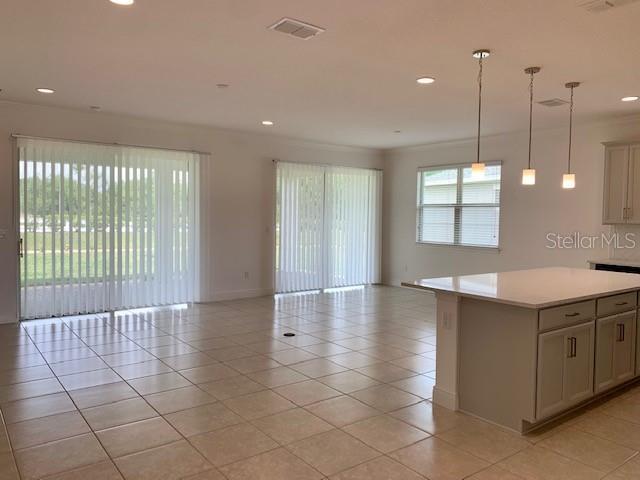 Family Room/Kitchen