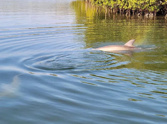 1170