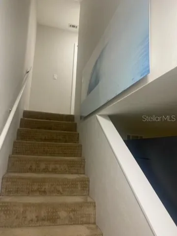 Carpeted stairs