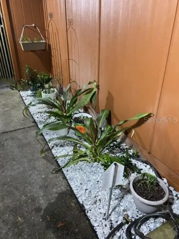 Flower Bed