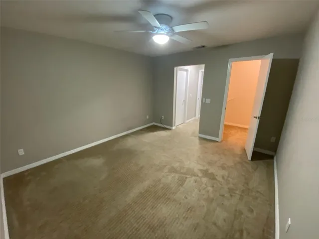 Entry to walk-in closet and hallway