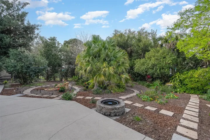 Rear yard 2