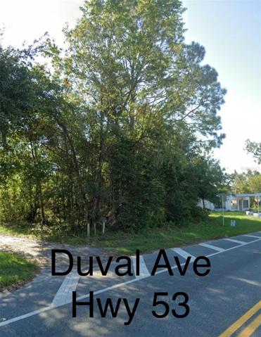 West side and Highway side - Duval Ave