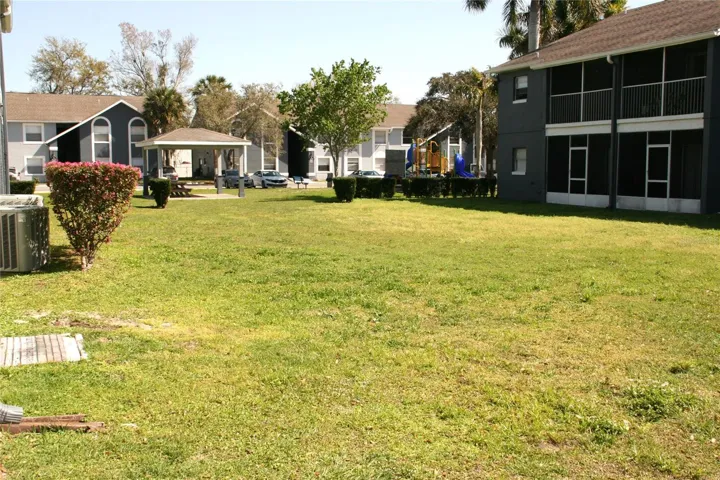 View from backyard