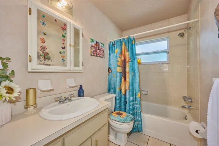 Hall bathroom