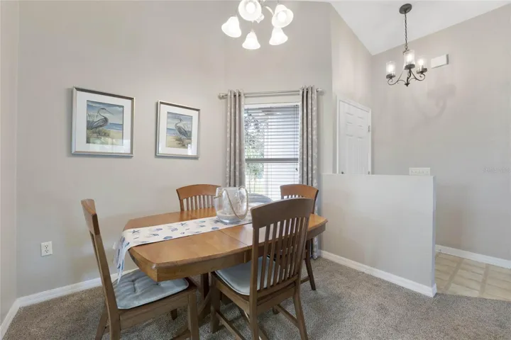 Vaulted Ceilings