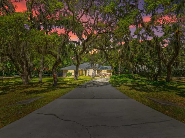 Your Private Oasis!