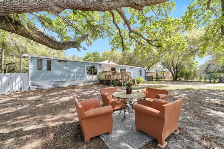 Relax in the Shade under this Huge Tree!