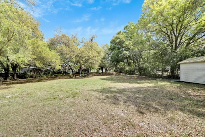 Huge Backyard
