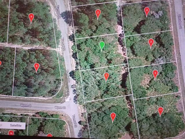 Green dot is the lot for sale