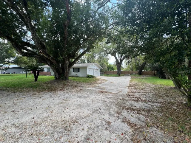 Street/Driveway/Side of House