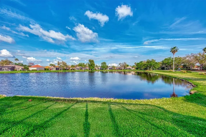 Pond View