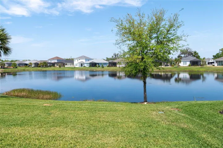 pond view from lanai