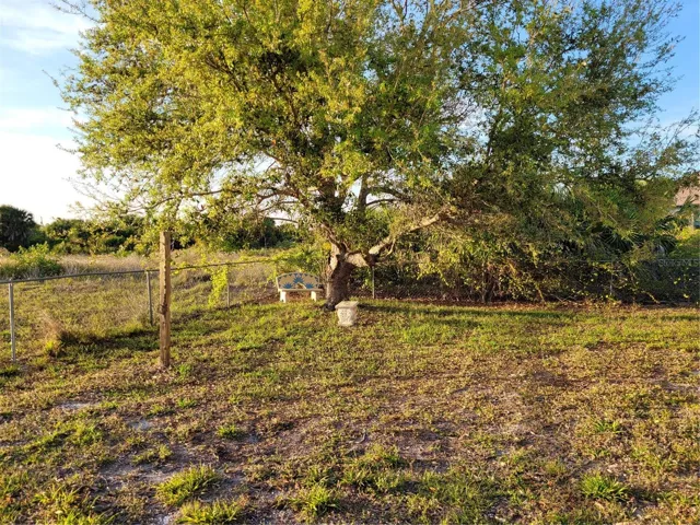Back yard