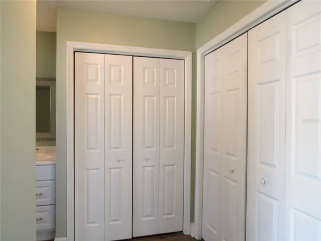 Great Closet Space in Primary Bedroom Suite--Large L-Shaped Closet.