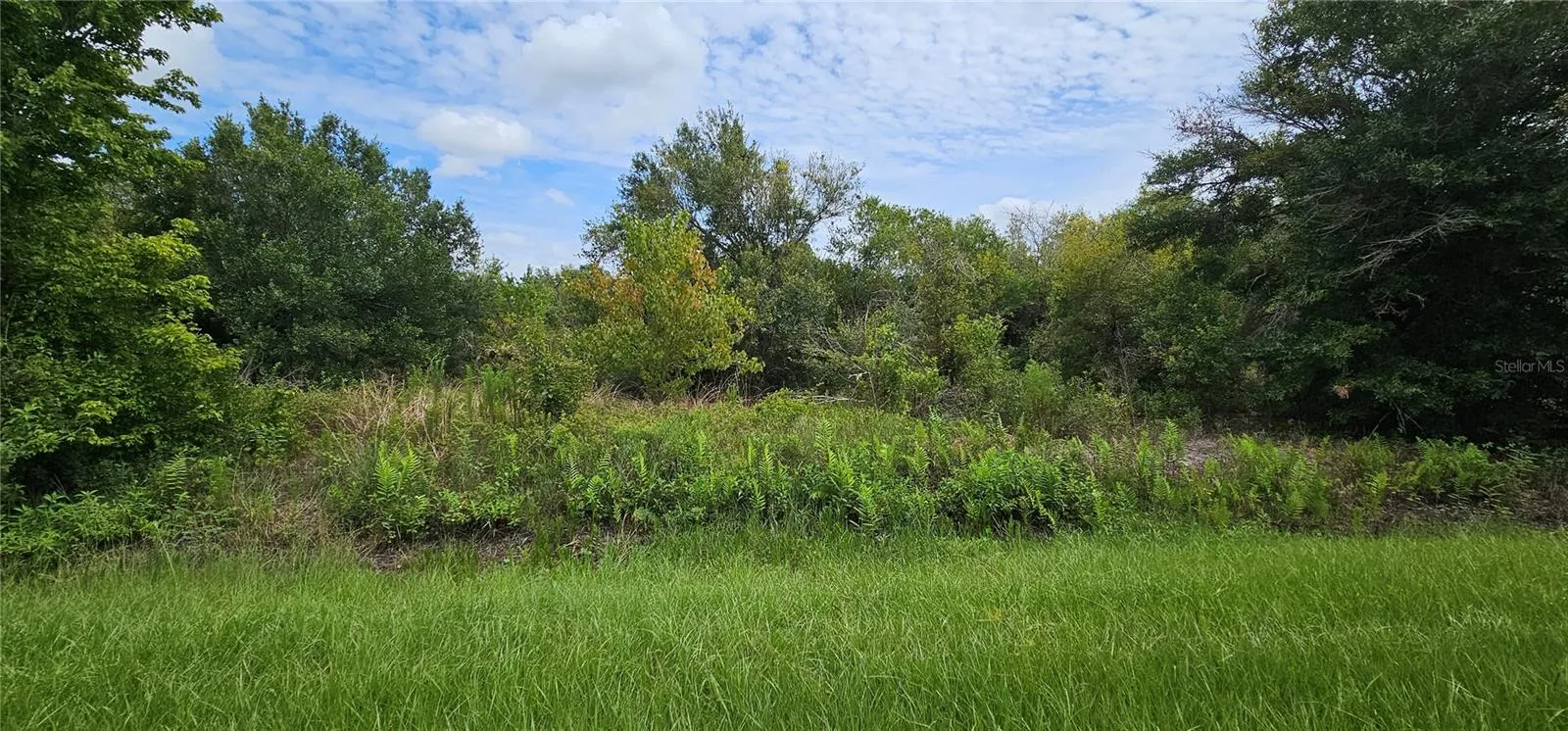 NW 268th Street, Okeechobee, Florida 34972, ,Land,For Sale,268TH,O6187035