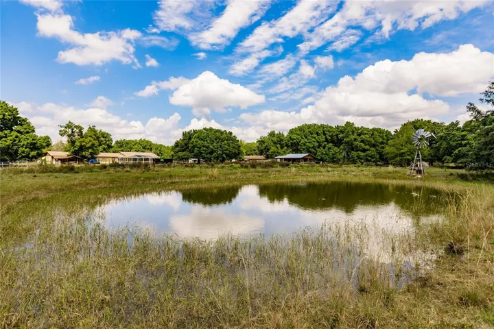 POND