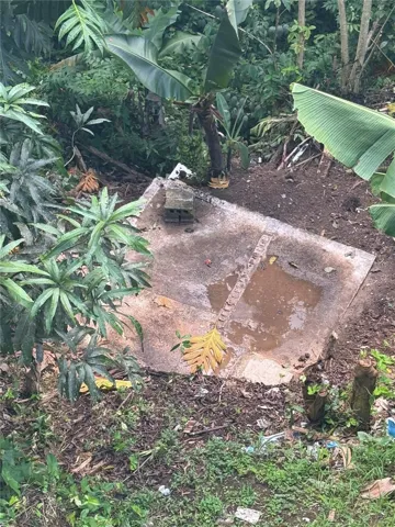 Septic Tank