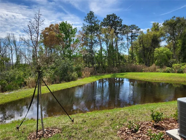 POND FROM PATIO