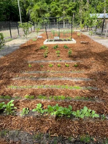 Room for Great garden like this ...illustration only