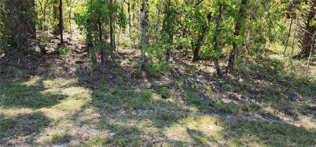 walk thru to west  of property
