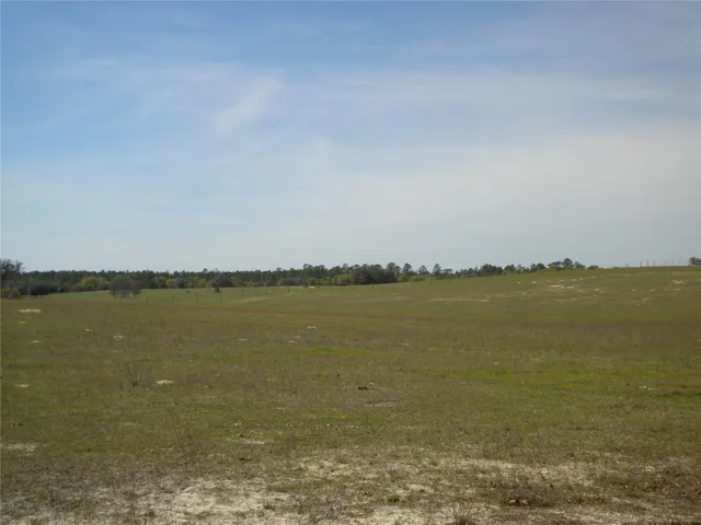 looking at 80 Acres from west fence (back of property)