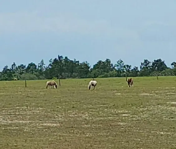 Farm west from property