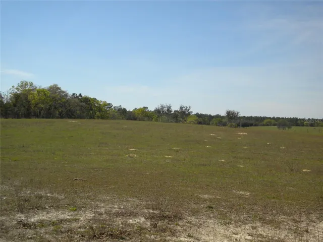 pasture land from west fence