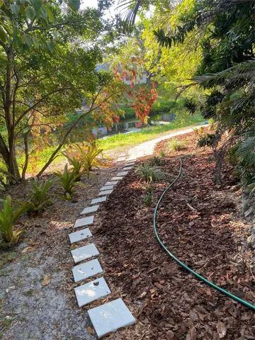 down to the creek