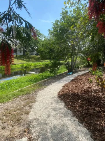 by the creek