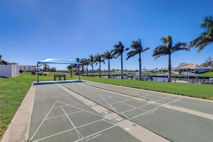 Shuffleboard area lined with Palm Trees
