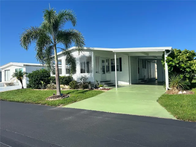 palm tree out front