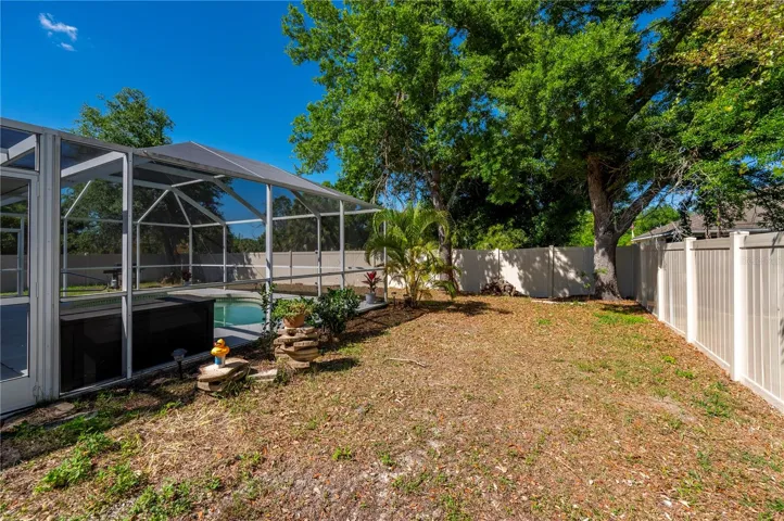 Backyard right side.